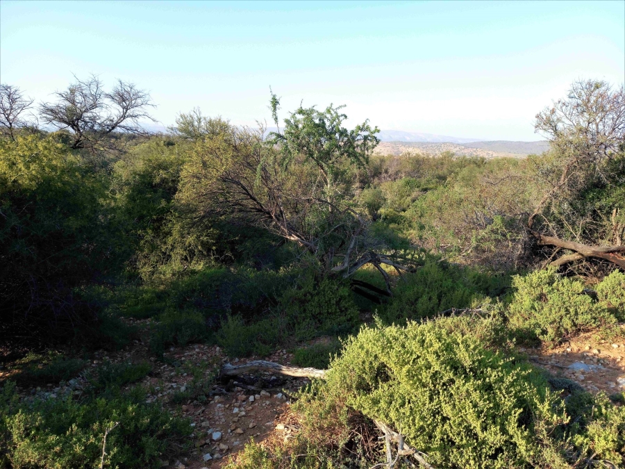 Commercial Property for Sale in Uniondale Rural Western Cape